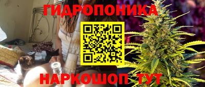 гидра Краснокаменск