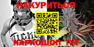 крисы Краснознаменск