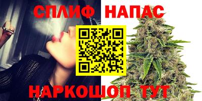 гидра Краснокаменск