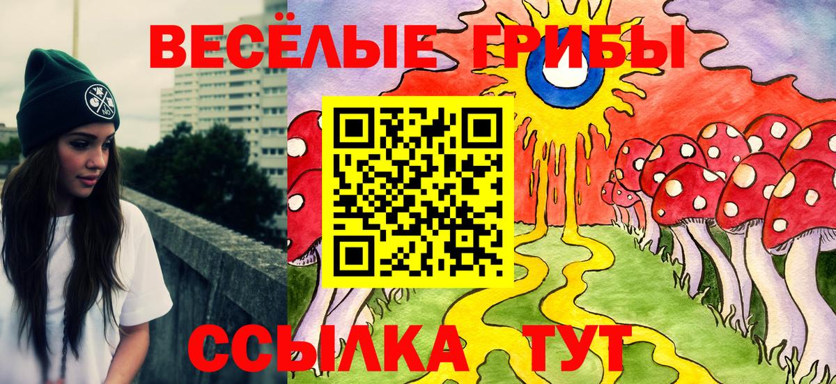 Галлюциногенные грибы мухоморы  магазин продажи наркотиков  Псилоцибиновые грибы мицелий  Ирбит  Вход с VPN 